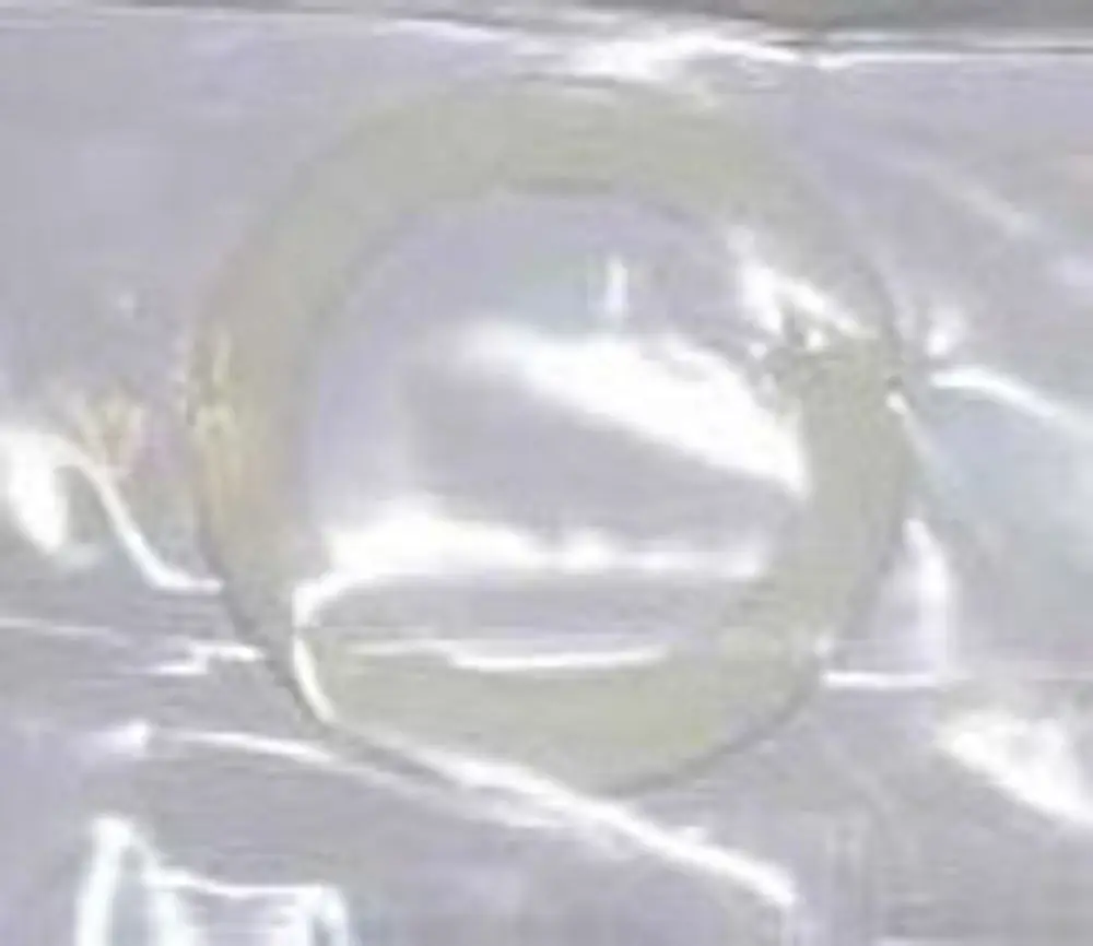 Dichtung für eine Anwendung im Sanitärbereich, hergestellt von Remeha, abgebildet in transparenter Verpackung.